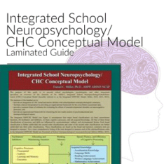 Integrated School Neuropsychology/CHC Conceptual Model Laminated Guide Product Image