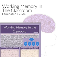 Working Memory in The Classroom - Laminated Guide Product Image
