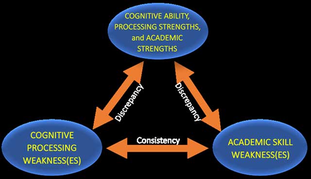 PSW Conceptual Model Image