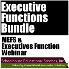 McCloskey Executive Functions Scale Assessment Product Image