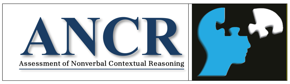 the Assessment of Nonverbal Contextual Reasoning (ANCR) product Image
